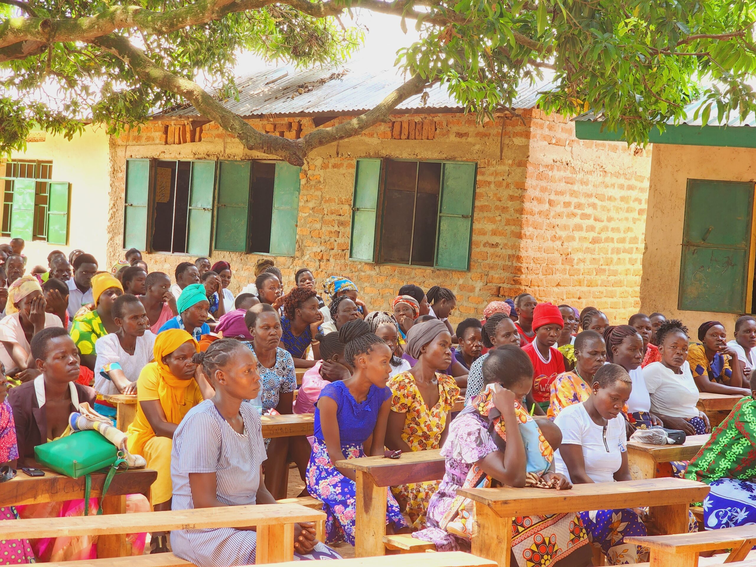 Advocacy Program