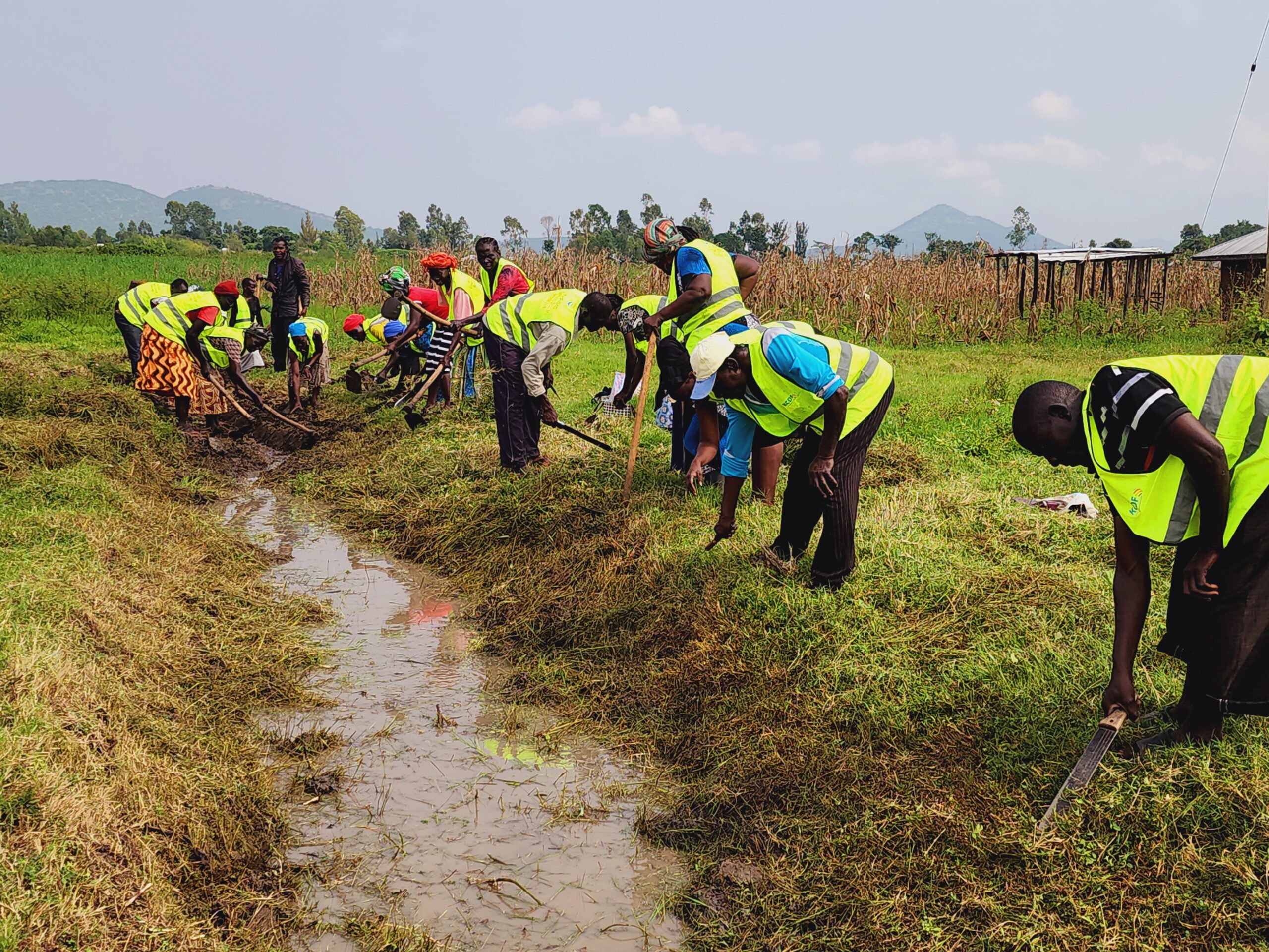 Environment Program
